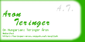 aron teringer business card